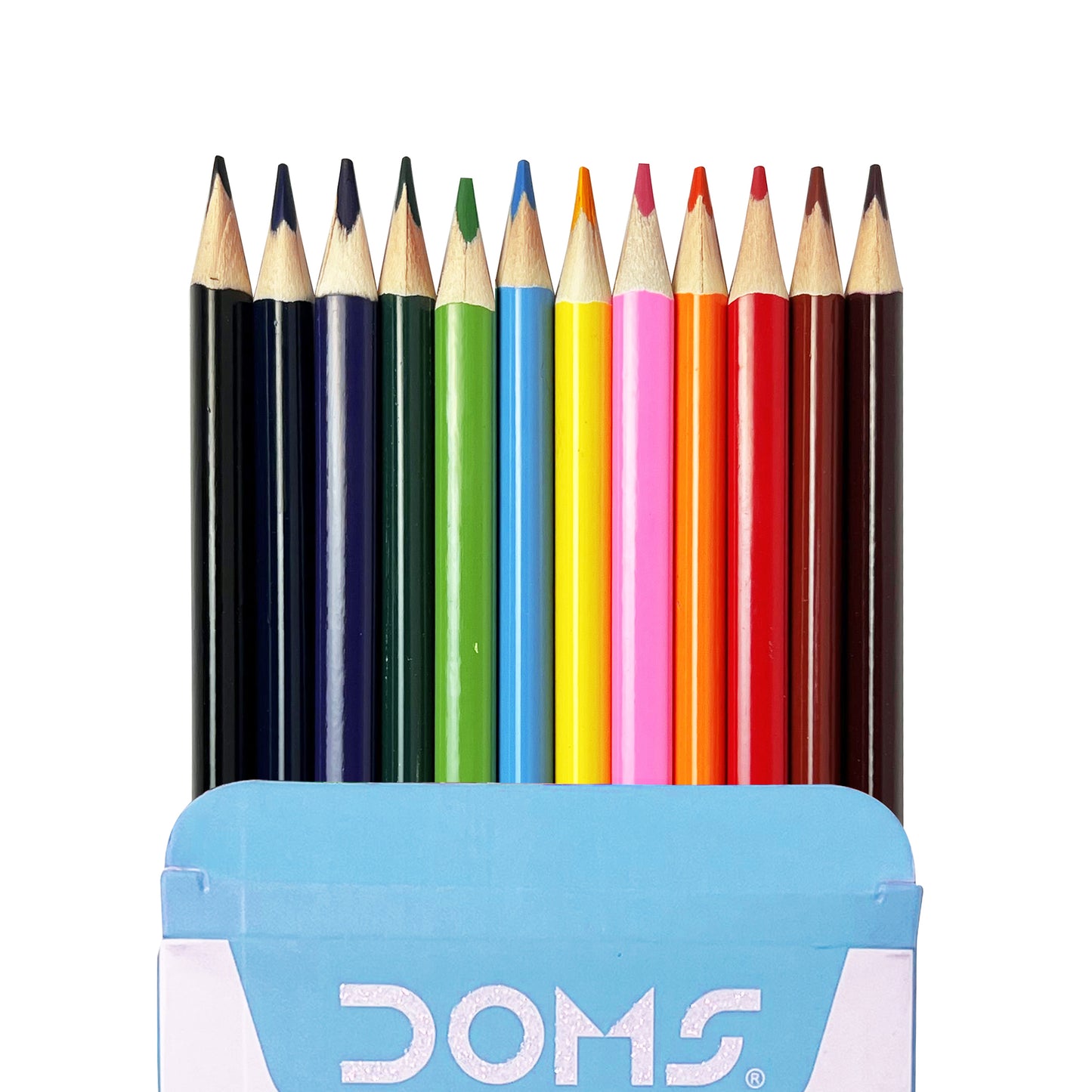 12 Pcs Coloring Pencils Doms - Blue