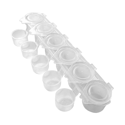 Palette "6 Wells" with cups