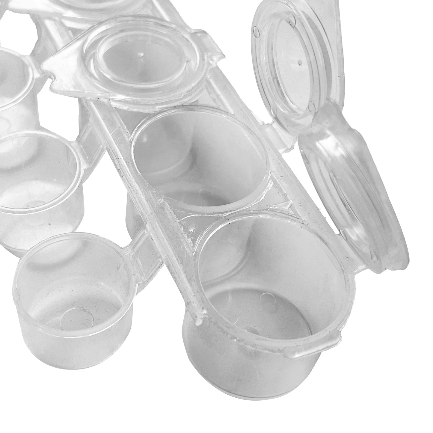Palette "6 Wells" with cups