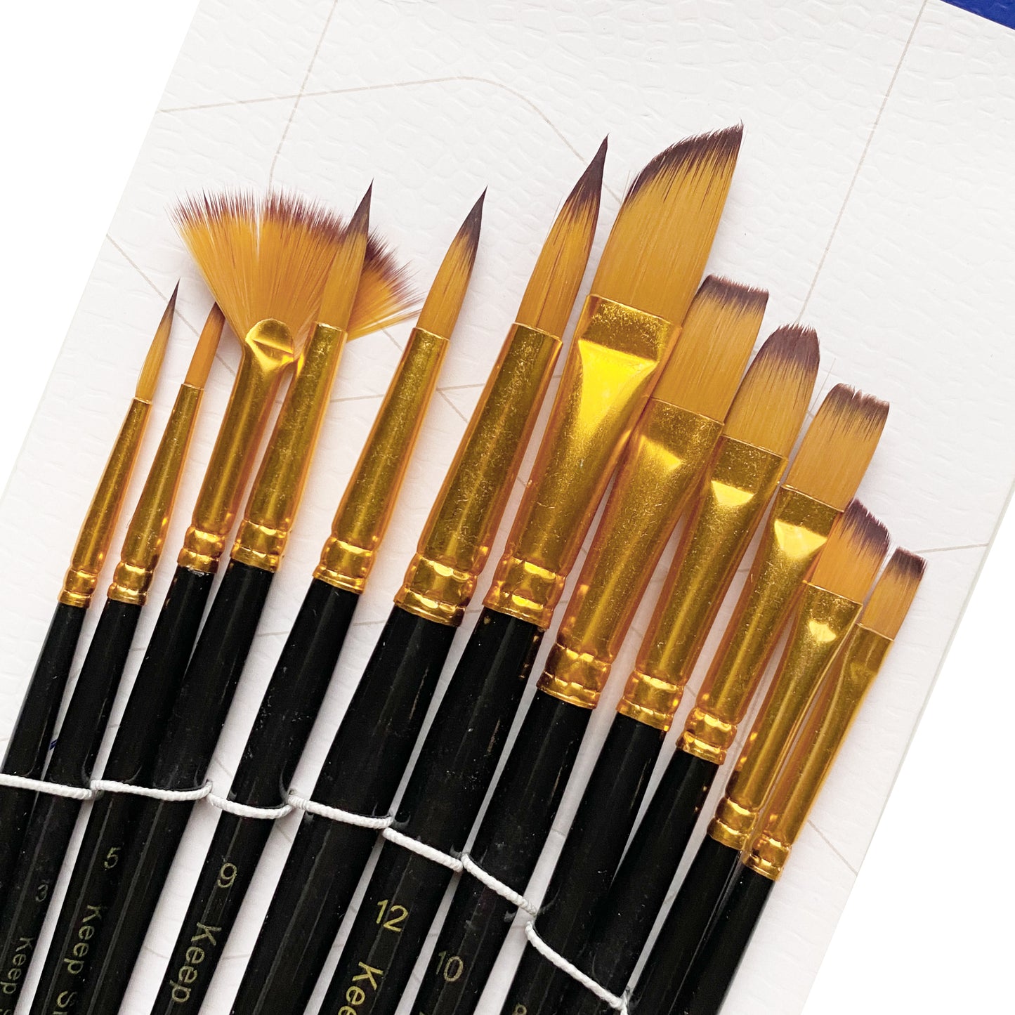 12 Brushes Set Different Shapes