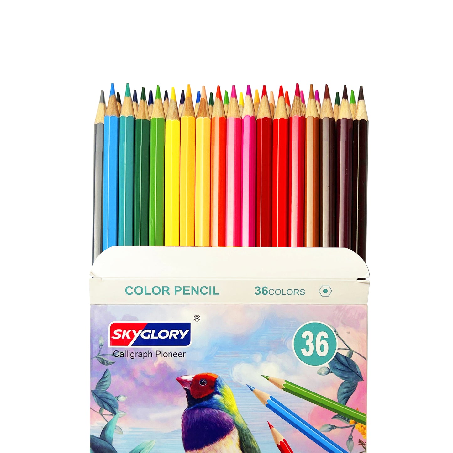 36 Pcs Coloring Pencils - SkyGlory