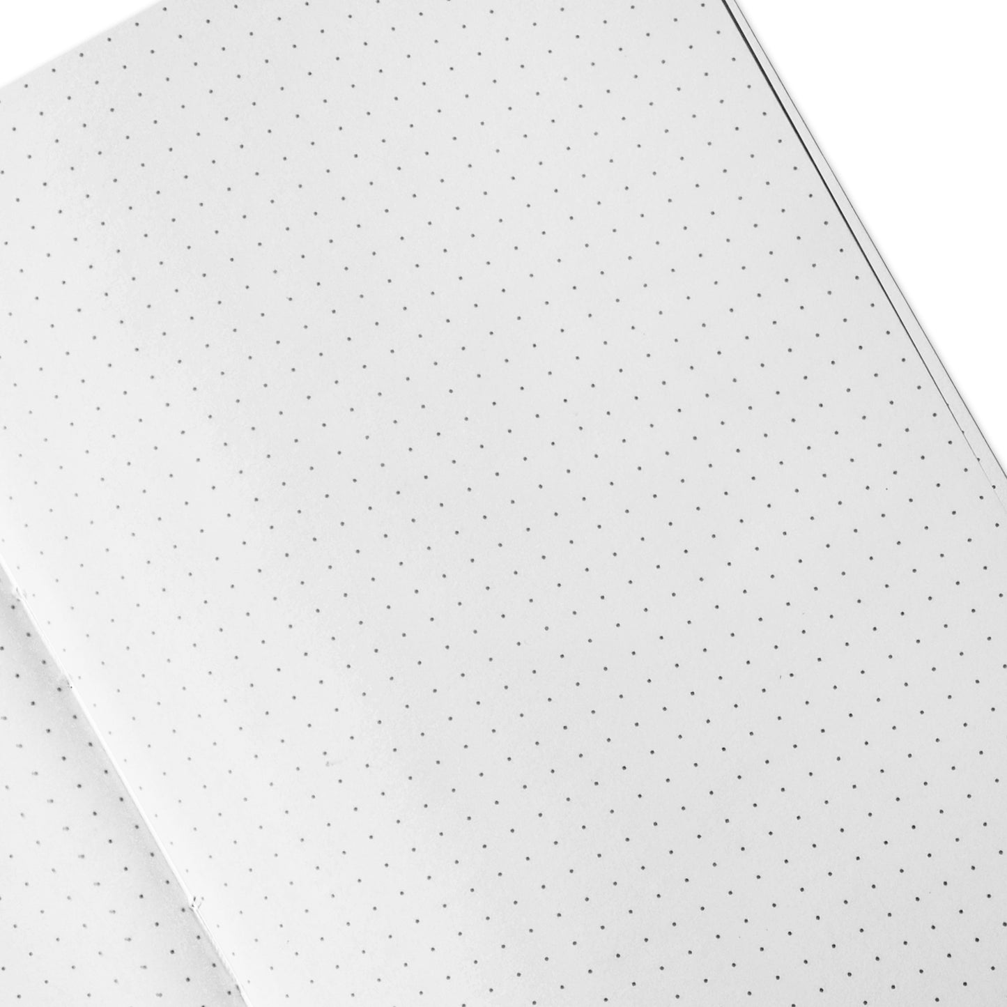 Dotted Notebook - Set of two