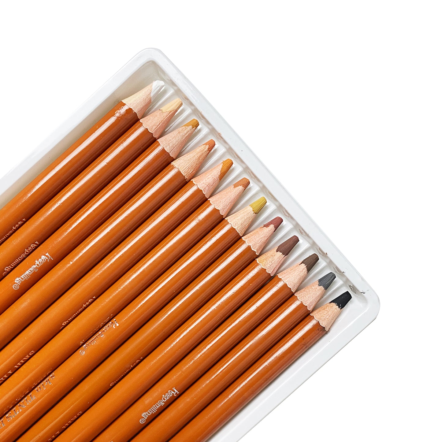 12 Pcs Skin Tints pastel Pencils Set